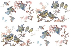 Papier klasyczny A4 do decoupage - ptaki, ptaszki