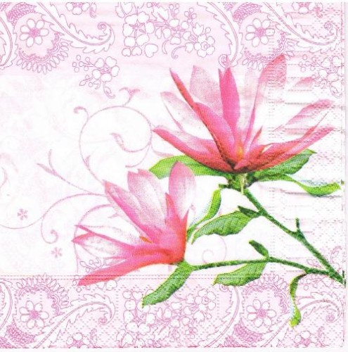 019.jpg