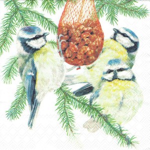 Serwetka decoupage 33x33 cm - ptaki, ptaszki, sikorki