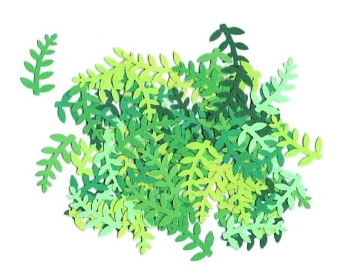 312.jpg
