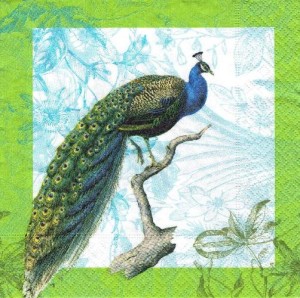 Serwetka decoupage 33x33 cm - ptak, paw