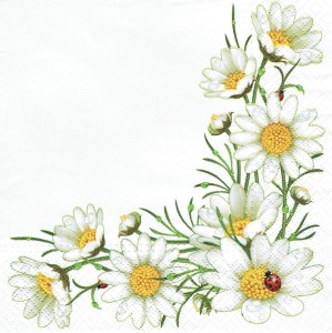 Serwetka decoupage 33x33 cm - kwiaty, rumianki
