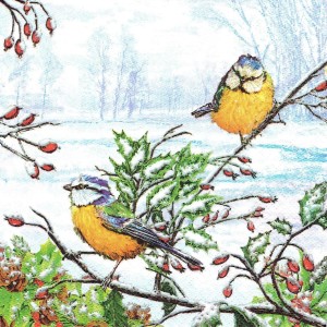 Serwetka decoupage 33x33 cm - ptaki, sikorki, zima