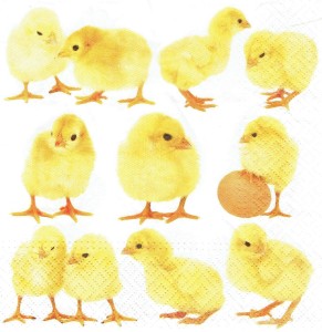 Serwetka decoupage 33x33 cm - kurczaki