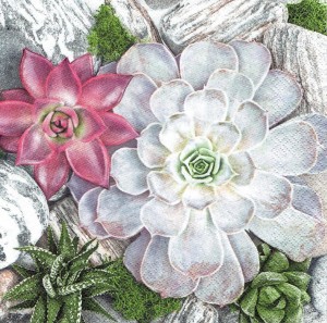 Serwetka decoupage 33x33 cm - sukulenty
