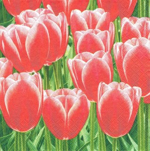 Serwetka decoupage 33x33 cm - kwiaty, tulipany