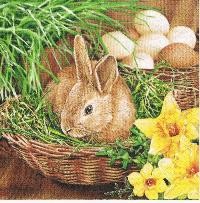 Serwetka decoupage 33x33 cm - zając w koszyku