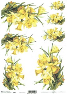 Papier ryżowy A4 ITD do decoupage - kwiaty, narcyzy