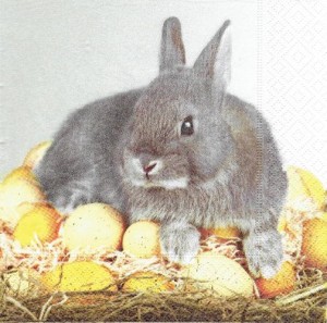 Serwetka decoupage 33x33 cm - zając, zajączek, jajka, gniazdko