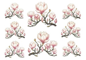 Papier klasyczny A4 do decoupage - kwiaty, magnolie