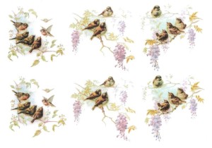 Papier klasyczny A4 do decoupage - ptaki, ptaszki