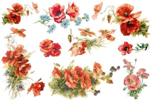 Papier klasyczny A4 do decoupage - kwiaty, maki