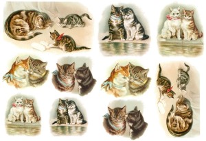 Papier klasyczny A4 do decoupage - koty, kotki