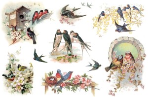 Papier klasyczny A4 do decoupage - ptaki, ptaszki