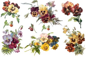 Papier klasyczny A4 do decoupage - kwiaty, bratki