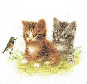 Serwetka decoupage 33x33 cm - koty, kotki, ptaszek