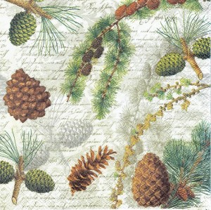 Serwetka decoupage 33x33 cm - szyszki, gałązki, napisy