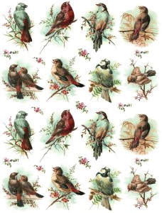 Papier ryżowy A4 do decoupage A - ptaki, ptaszki