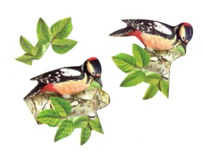 Scrapki papierowe z efektem 3D - ptaki