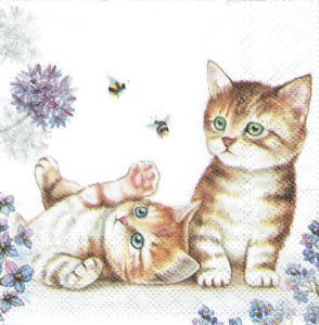 Serwetka decoupage mała 25x25cm - koty, kotki