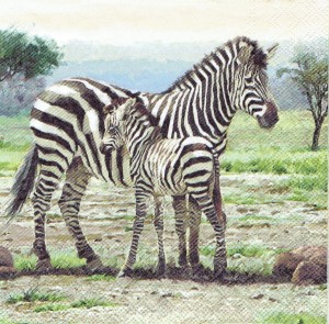 Serwetka decoupage 33x33 cm - zebry, zebra