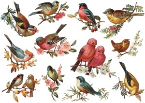 Papier ryżowy A4 do decoupage A - ptaki, ptaszki