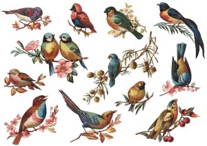 Papier ryżowy A4 do decoupage A - ptaki, ptaszki