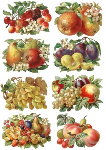 Papier ryżowy A4 do decoupage A - owoce