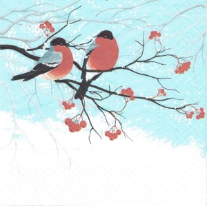 Serwetka decoupage 33x33 cm - ptaki, ptaszki, zima