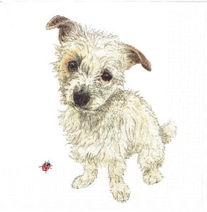 Serwetka decoupage 33x33 cm - pies, piesek z biedronką