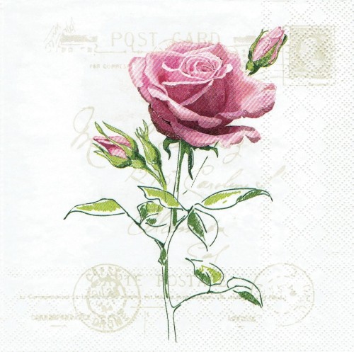 936.jpg