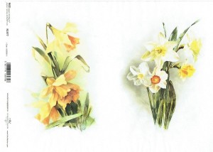 Papier ryżowy A4 ITD do decoupage - kwiaty, narcyzy