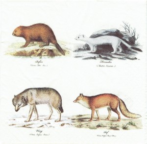 Serwetka decoupage 33x33 cm - zwierzęta, bóbr, łasica, wilk, lis