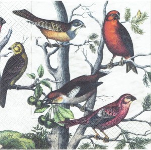Serwetka decoupage 33x33 cm - ptaki, ptaszki 