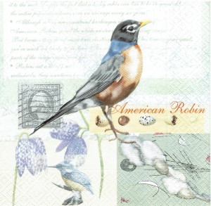 Serwetka decoupage 33x33 cm - ptak, kwiaty, napisy