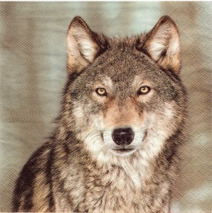 Serwetka decoupage 33x33 cm - wilk