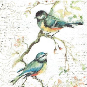 Serwetka decoupage mała 25x25cm - ptaki, napisy