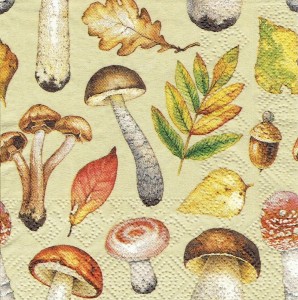 Serwetka decoupage mała 25x25cm - grzyby, liście