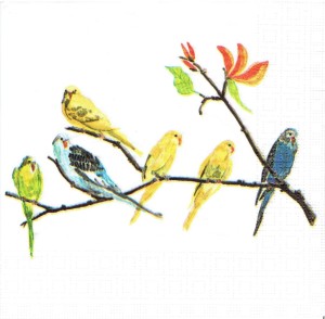 Serwetka decoupage 33x33 cm - ptaki, papugi