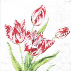 Serwetka decoupage 33x33 cm - kwiaty, tulipany