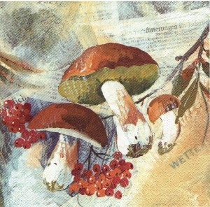 Serwetka decoupage 33x33 cm - grzyby, grzybki