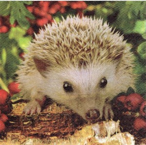 Serwetka decoupage 33x33 cm - jeż, jeżyk