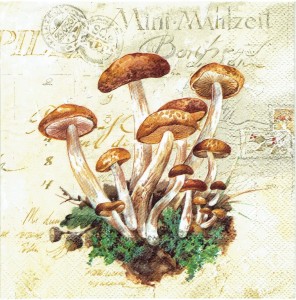 Serwetka decoupage 33x33 cm - grzyby, grzybki