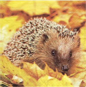 Serwetka decoupage 33x33 cm - jeż, jeżyk