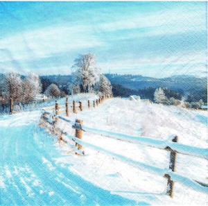 Serwetka decoupage 33x33 cm - widok, pejzaż zimowy