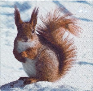 Serwetka decoupage 33x33 cm - wiewiórka, zima