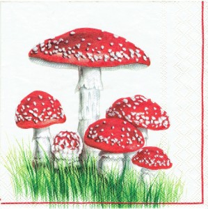 Serwetka decoupage 33x33 cm - grzyby, muchomory