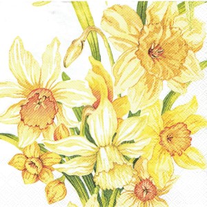 Serwetka decoupage 33x33 cm - kwiaty, narcyzy, żonkile