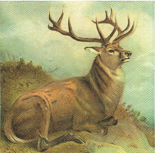 386.jpg