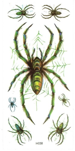156.jpg